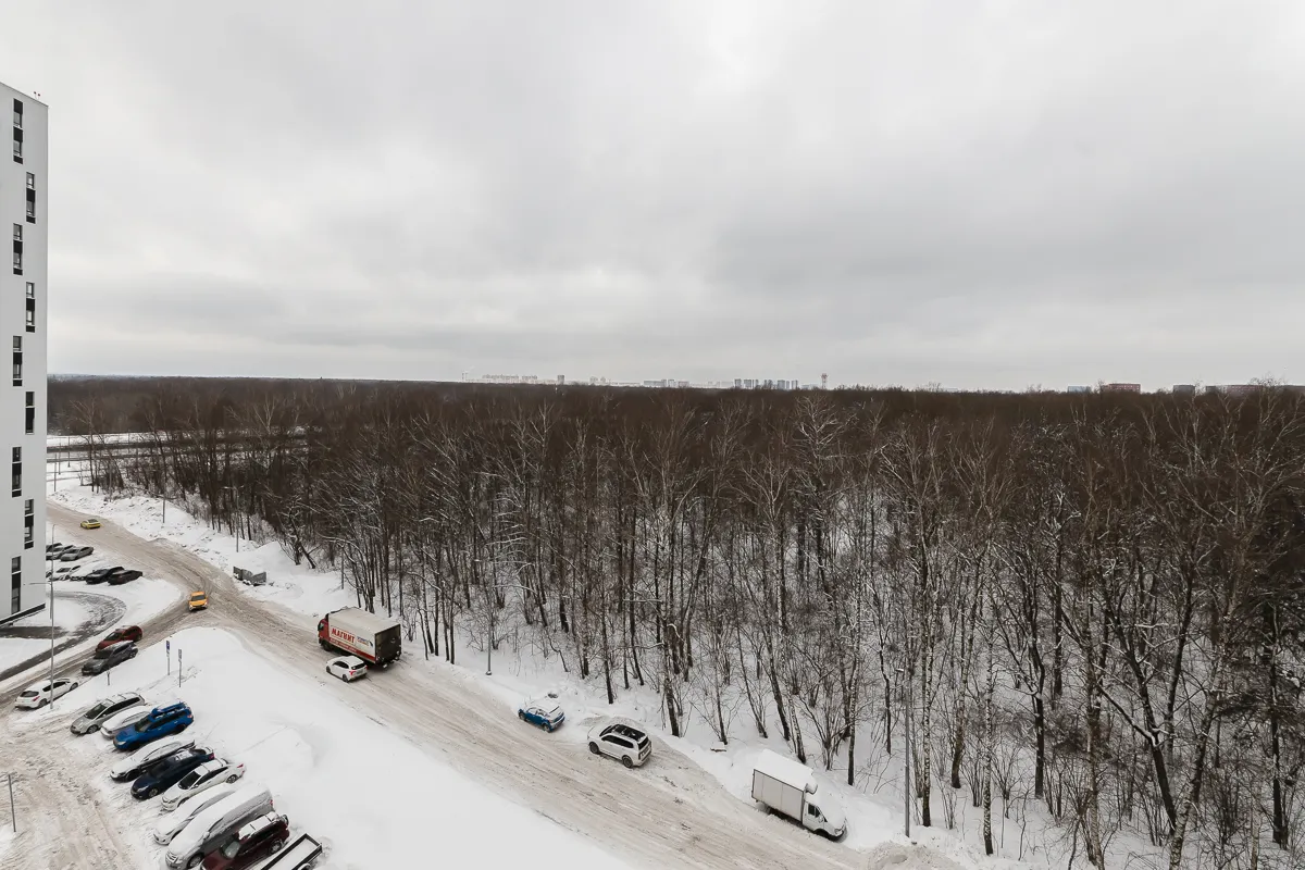 Лобановский  лес 13